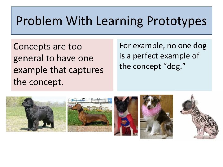 Problem With Learning Prototypes Concepts are too general to have one example that captures