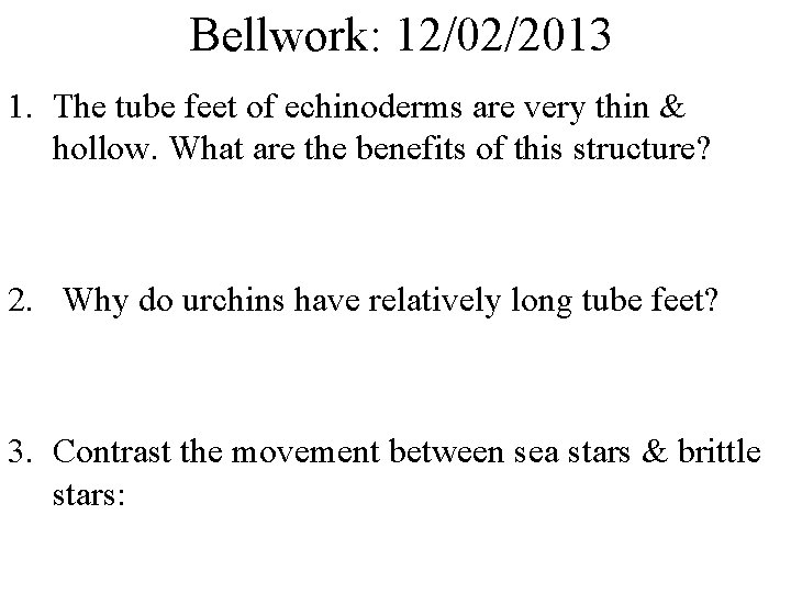 Bellwork: 12/02/2013 1. The tube feet of echinoderms are very thin & hollow. What