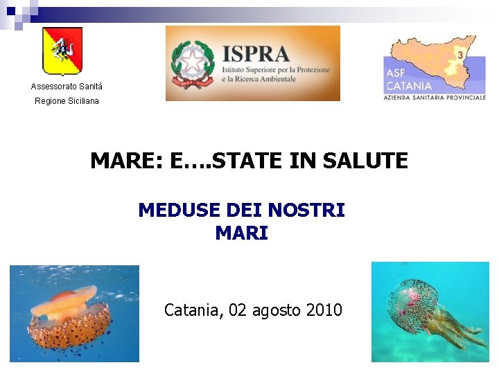 Assessorato Sanità Regione Siciliana MARE: E…. STATE IN SALUTE MEDUSE DEI NOSTRI MARI Catania,