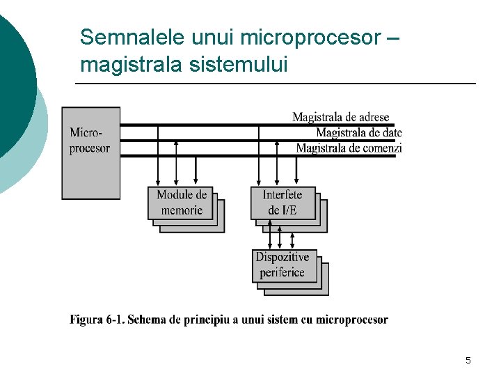 Semnalele unui microprocesor – magistrala sistemului 5 