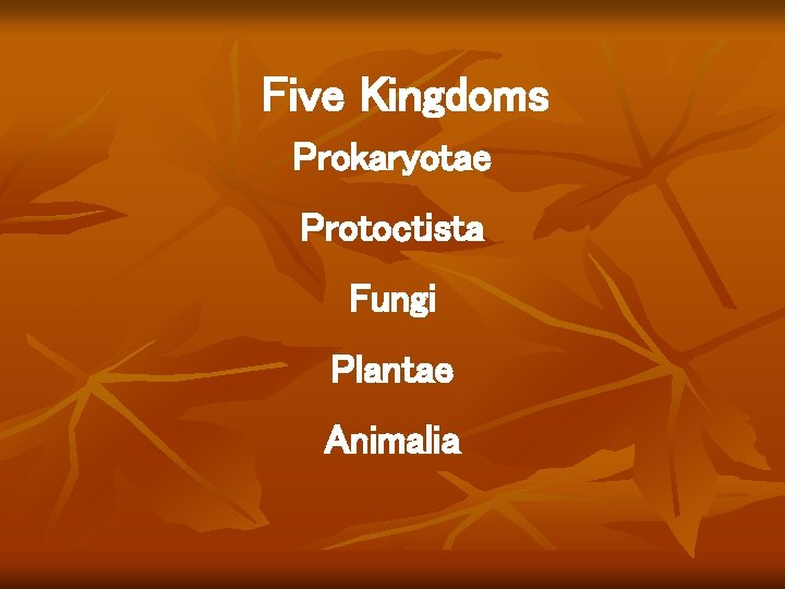 Five Kingdoms Prokaryotae Protoctista Fungi Plantae Animalia Five Kingdoms Prokaryotae Protoctista Fungi Plantae Animalia