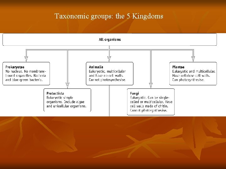 Taxonomic groups: the 5 Kingdoms Taxonomic groups: the 5 Kingdoms