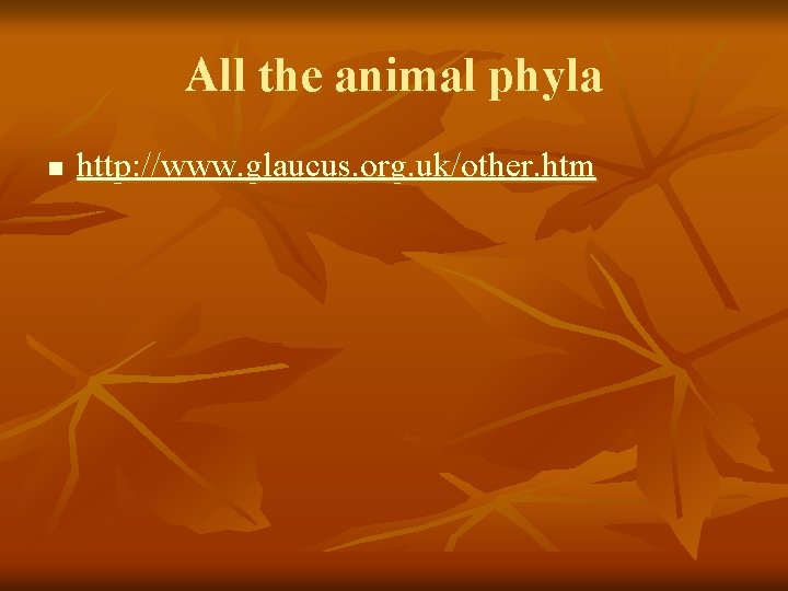 All the animal phyla n http: //www. glaucus. org. uk/other. htm All the animal phyla n http: //www. glaucus. org. uk/other. htm