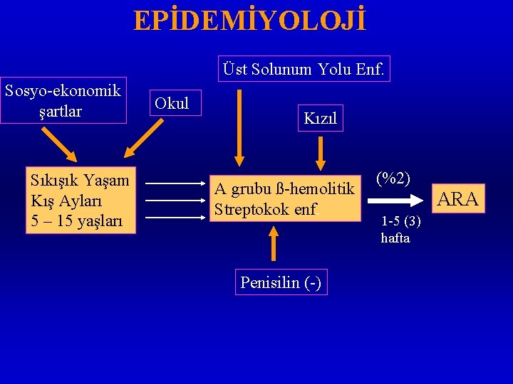 EPİDEMİYOLOJİ Üst Solunum Yolu Enf. Sosyo-ekonomik şartlar Sıkışık Yaşam Kış Ayları 5 – 15