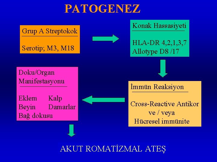PATOGENEZ Grup A Streptokok Serotip; M 3, M 18 Doku/Organ Manifestasyonu Eklem Kalp Beyin