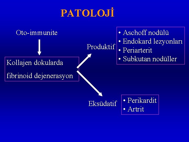 PATOLOJİ Oto-immunite Kollajen dokularda • Aschoff nodülü • Endokard lezyonları Produktif • Periarterit •