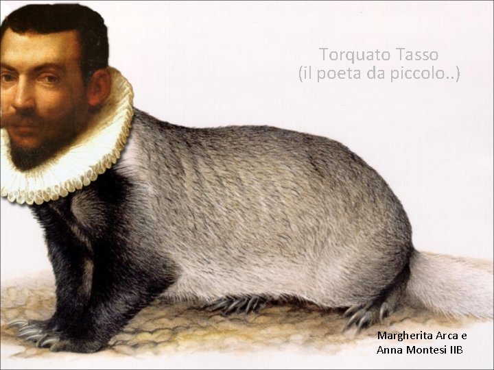 Torquato Tasso (il poeta da piccolo. . ) Margherita Arca e Anna Montesi IIB