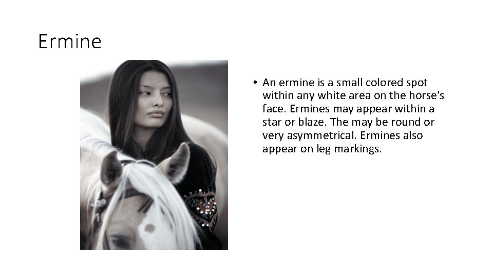 Ermine • An ermine is a small colored spot within any white area on