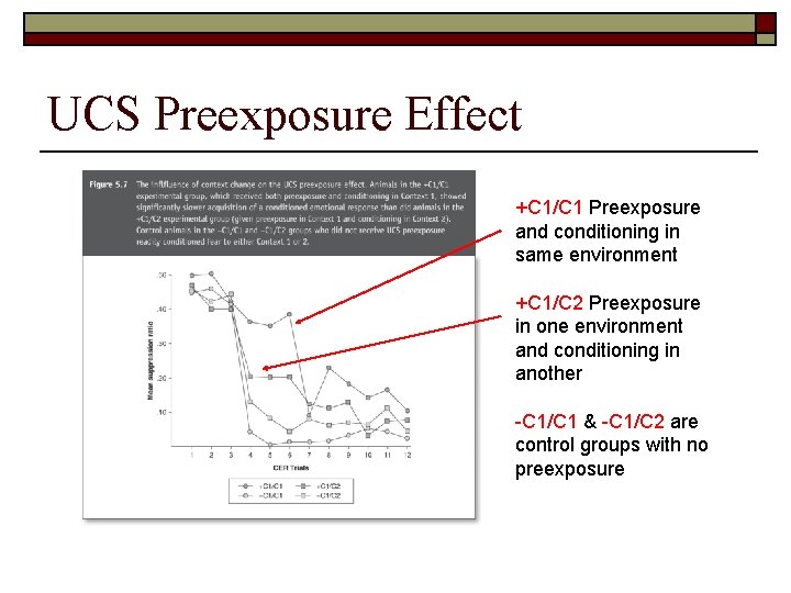 UCS Preexposure Effect +C 1/C 1 Preexposure and conditioning in same environment +C 1/C