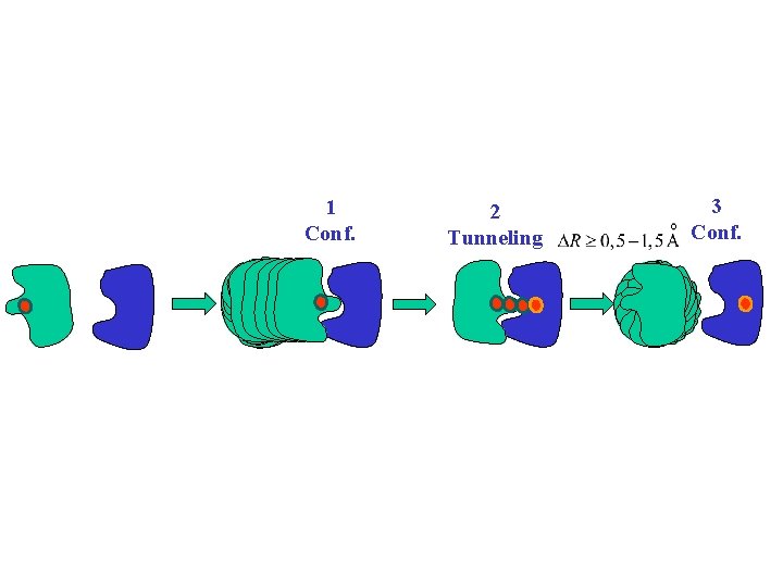 1 Conf. 2 Tunneling 3 Conf. 1 Conf. 2 Tunneling 3 Conf.