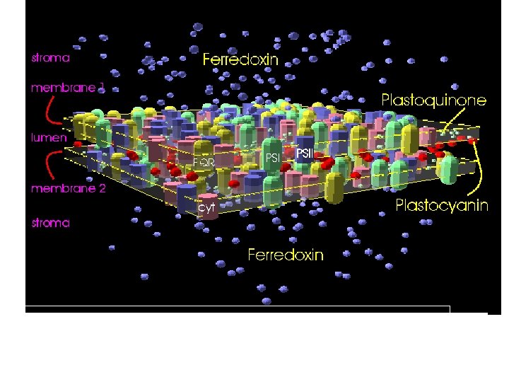 Scene of the direct model 