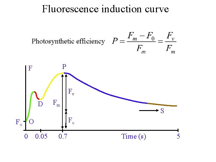 Fluorescence induction curve Photosynthetic efficiency P F Fv D Fo O Fm S Fo