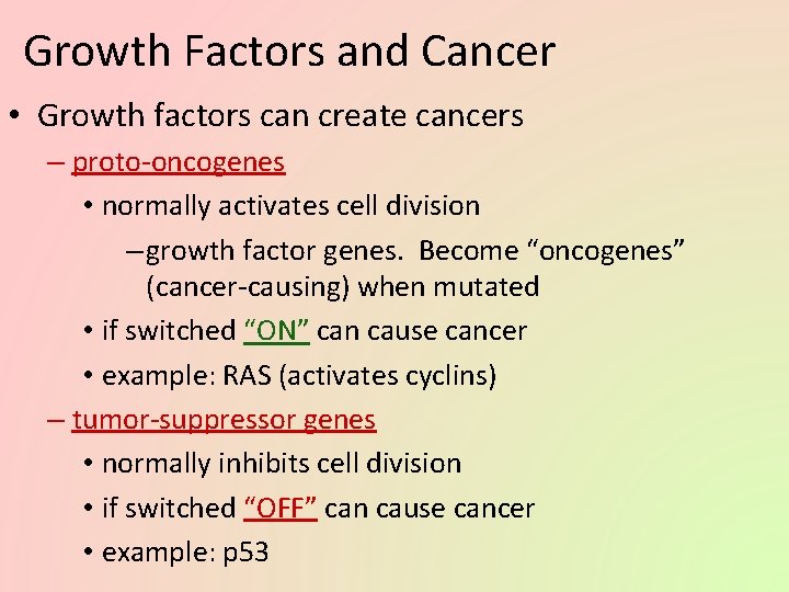 Growth Factors and Cancer • Growth factors can create cancers – proto-oncogenes • normally