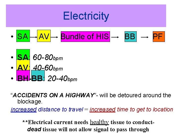 Electricity • SA AV Bundle of HIS BB PF • SA: 60 -80 bpm