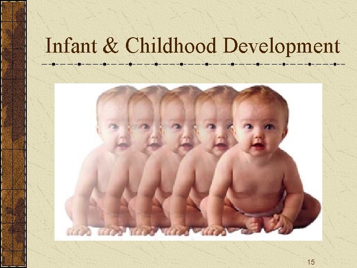 Infant & Childhood Development 15 