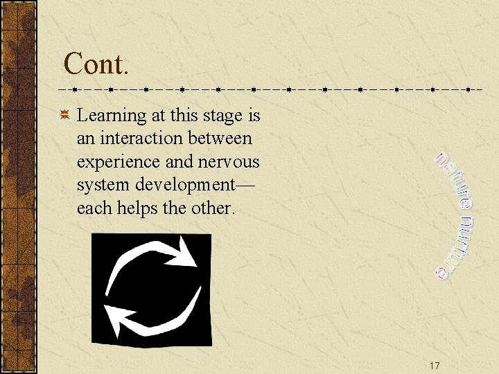 Cont. Learning at this stage is an interaction between experience and nervous system development—