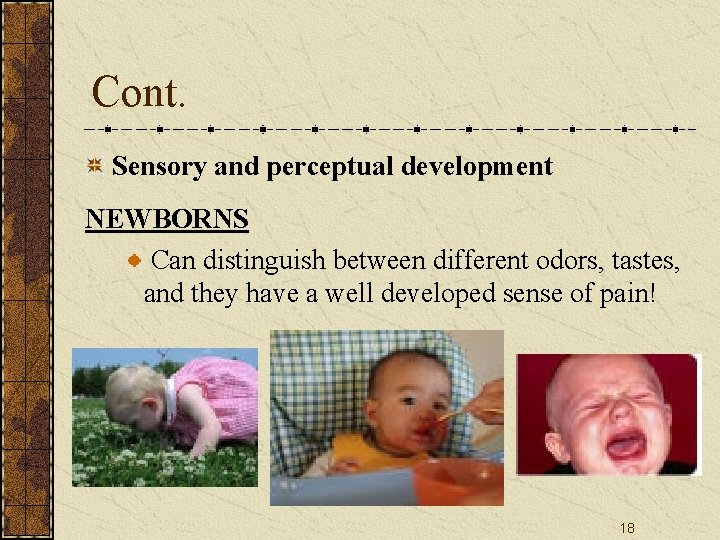 Cont. Sensory and perceptual development NEWBORNS Can distinguish between different odors, tastes, and they