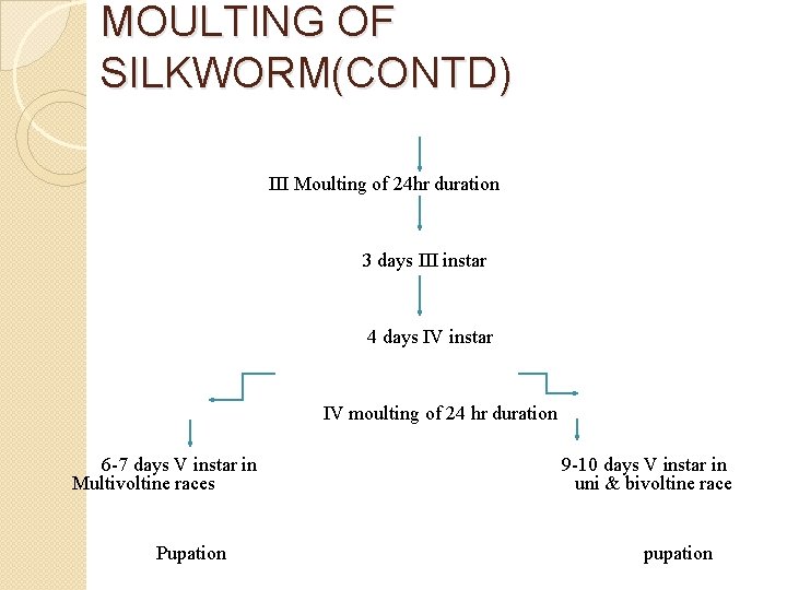 MOULTING OF SILKWORM(CONTD) III Moulting of 24 hr duration 3 days III instar 4