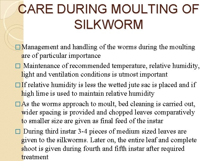 CARE DURING MOULTING OF SILKWORM � Management and handling of the worms during the
