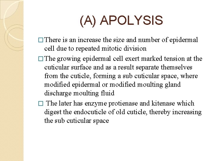 (A) APOLYSIS � There is an increase the size and number of epidermal cell