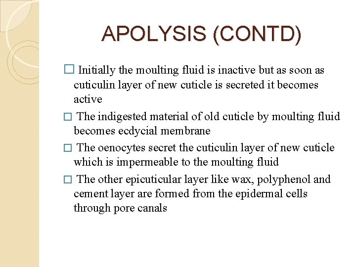 APOLYSIS (CONTD) � Initially the moulting fluid is inactive but as soon as cuticulin