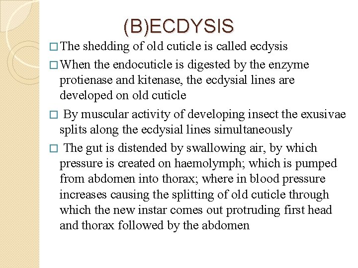(B)ECDYSIS � The shedding of old cuticle is called ecdysis � When the endocuticle