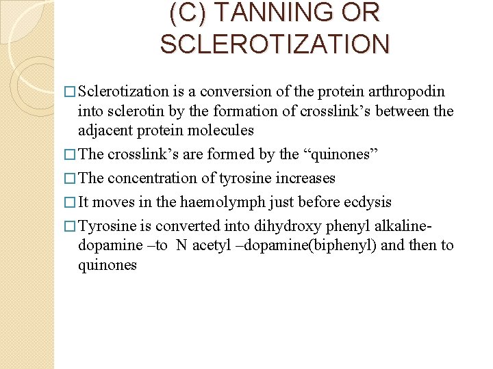 (C) TANNING OR SCLEROTIZATION � Sclerotization is a conversion of the protein arthropodin into