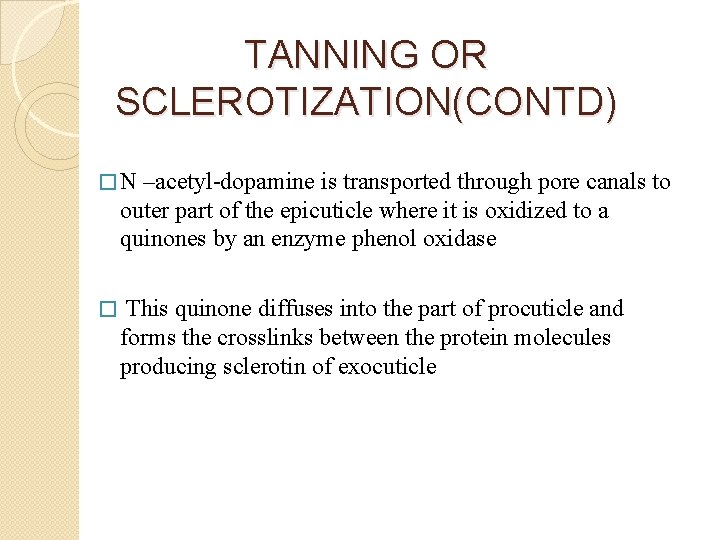 TANNING OR SCLEROTIZATION(CONTD) � N –acetyl-dopamine is transported through pore canals to outer part