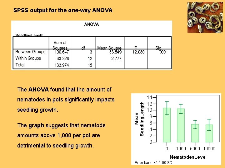 SPSS output for the one-way ANOVA The ANOVA found that the amount of nematodes
