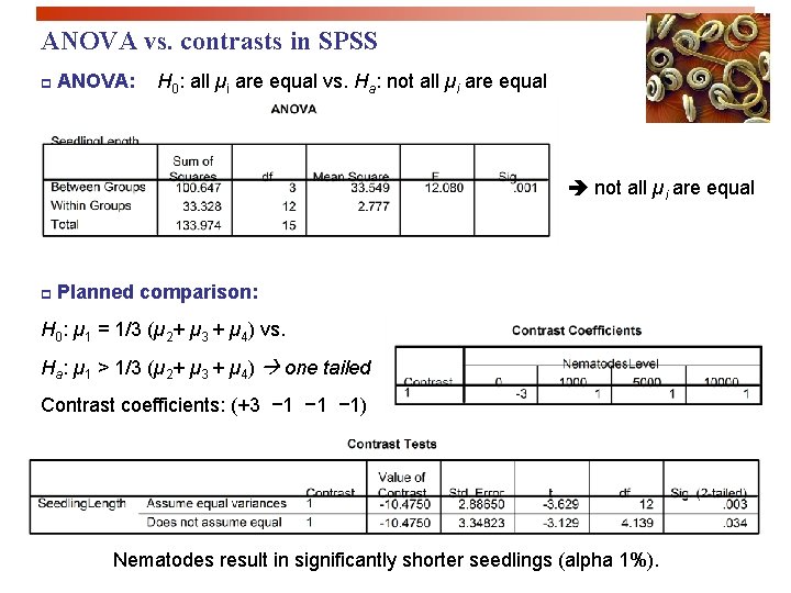 ANOVA vs. contrasts in SPSS p ANOVA: H 0: all µi are equal vs.