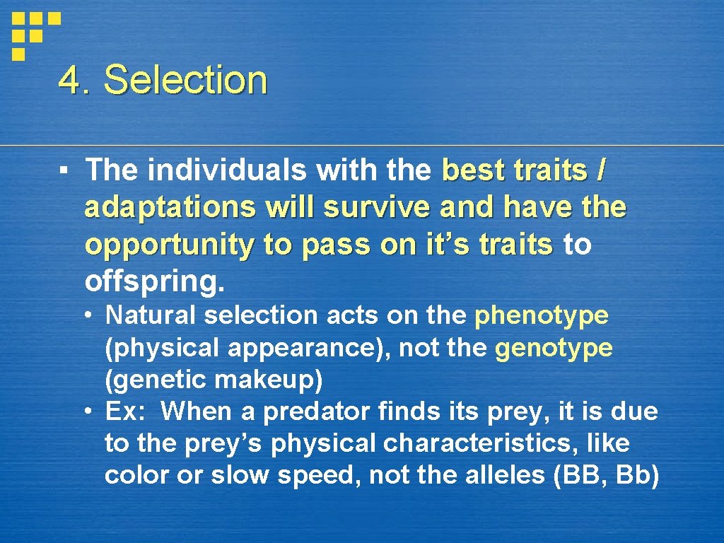 4. Selection ▪ The individuals with the best traits / adaptations will survive and