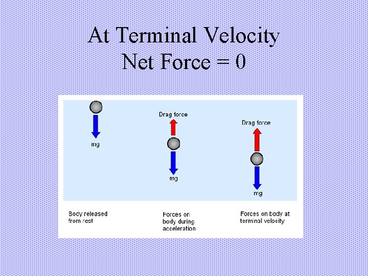 At Terminal Velocity Net Force = 0 