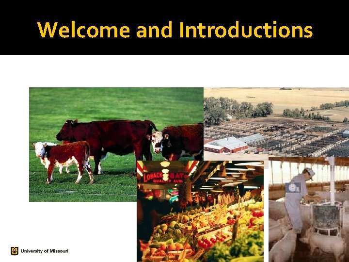 Welcome and Introductions Welcome and Introductions