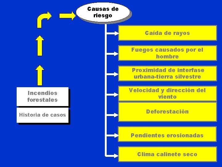 Causas de riesgo Caída de rayos Fuegos causados por el hombre Proximidad de interfase