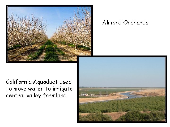 Almond Orchards California Aquaduct used to move water to irrigate central valley farmland. 