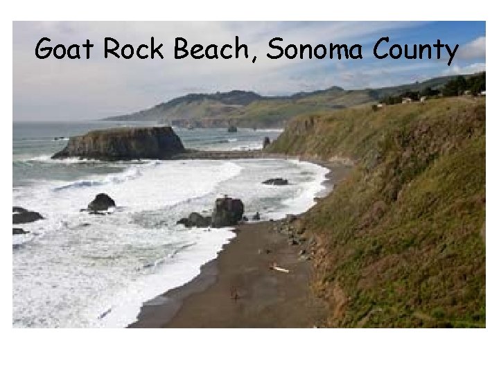 Goat Rock Beach, Sonoma County 