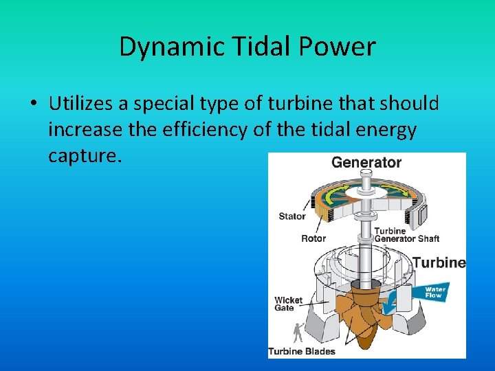 Dynamic Tidal Power • Utilizes a special type of turbine that should increase the