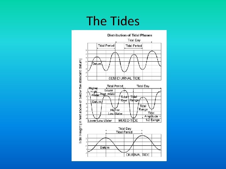 The Tides 