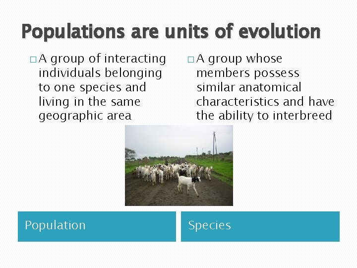 Populations are units of evolution �A group of interacting individuals belonging to one species