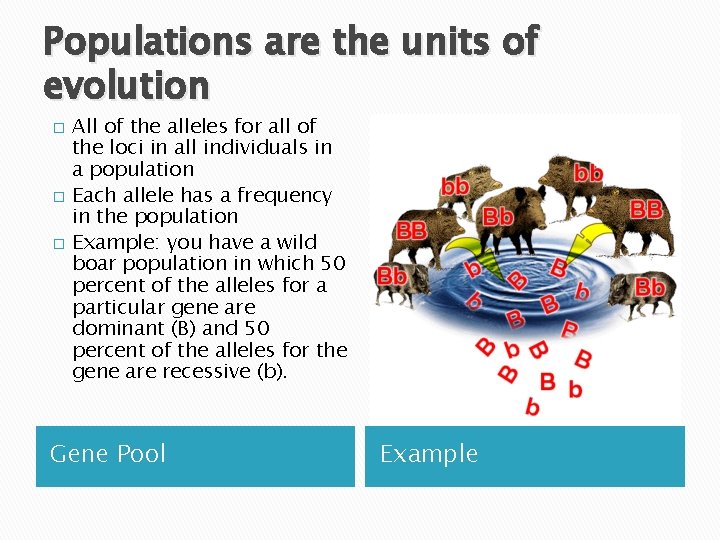 Populations are the units of evolution � � � All of the alleles for