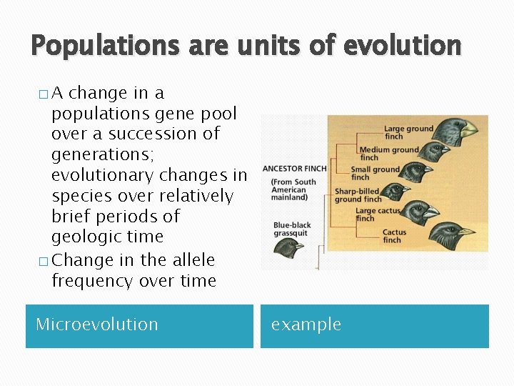 Populations are units of evolution �A change in a populations gene pool over a