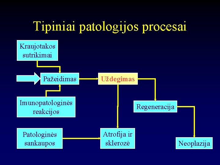 Tipiniai patologijos procesai Kraujotakos sutrikimai Pažeidimas Uždegimas Imunopatologinės reakcijos Patologinės sankaupos Regeneracija Atrofija ir