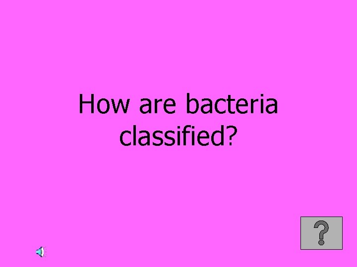 How are bacteria classified? 