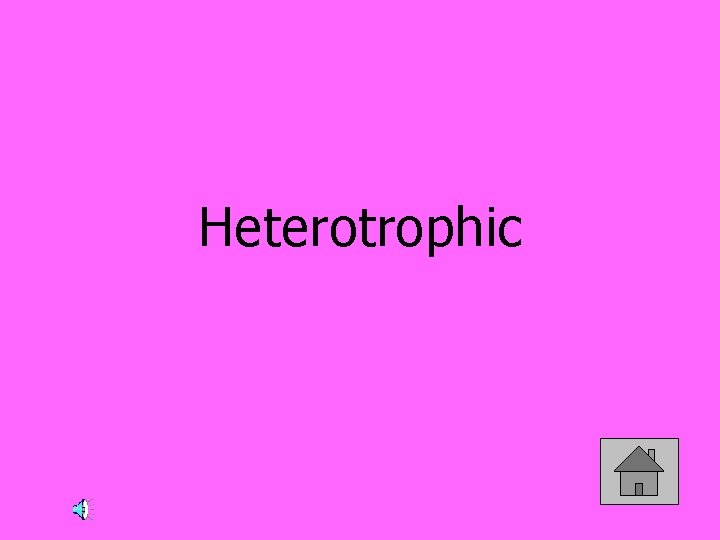 Heterotrophic 
