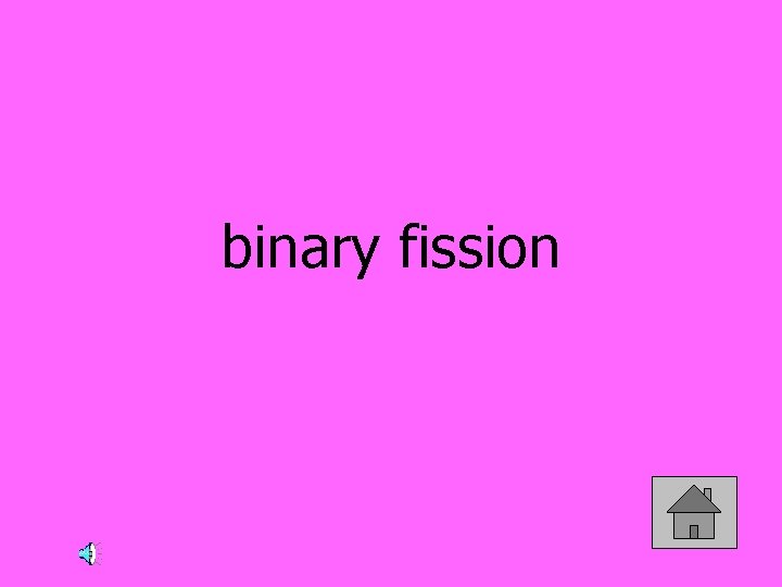 binary fission 