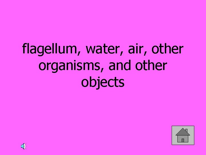 flagellum, water, air, other organisms, and other objects 