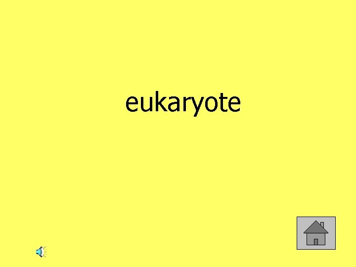 eukaryote 