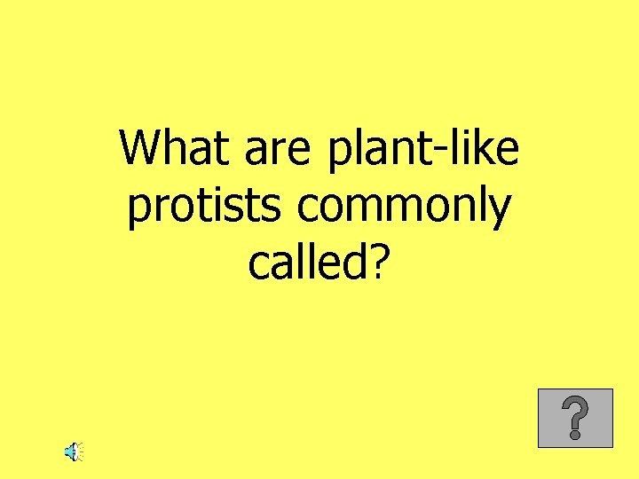 What are plant-like protists commonly called? 
