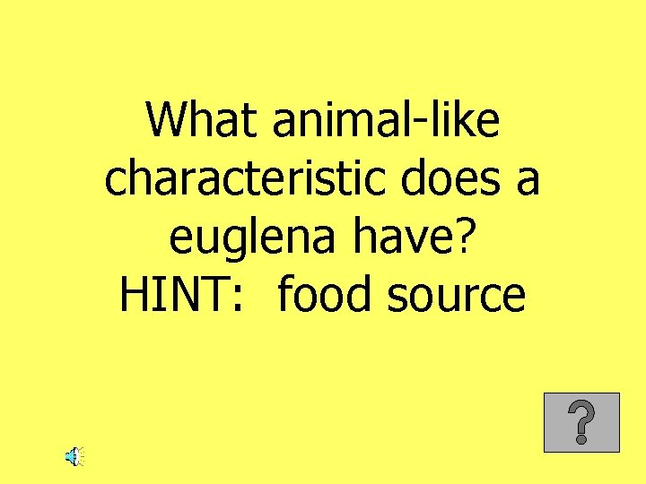 What animal-like characteristic does a euglena have? HINT: food source 