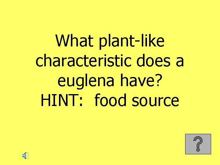 What plant-like characteristic does a euglena have? HINT: food source 